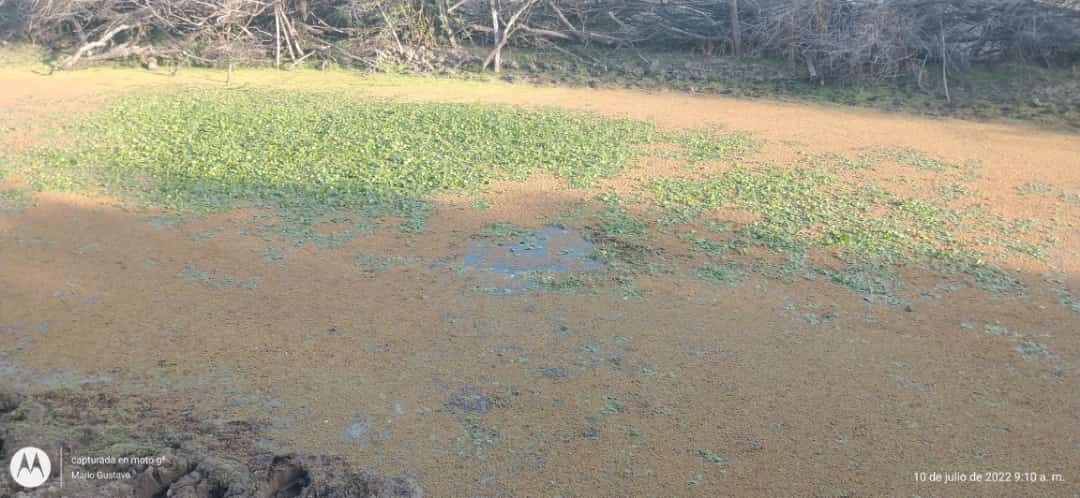 8f85853e-5d6f-4719-a149-7f07008fef5b