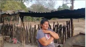 pobladora algarrobal