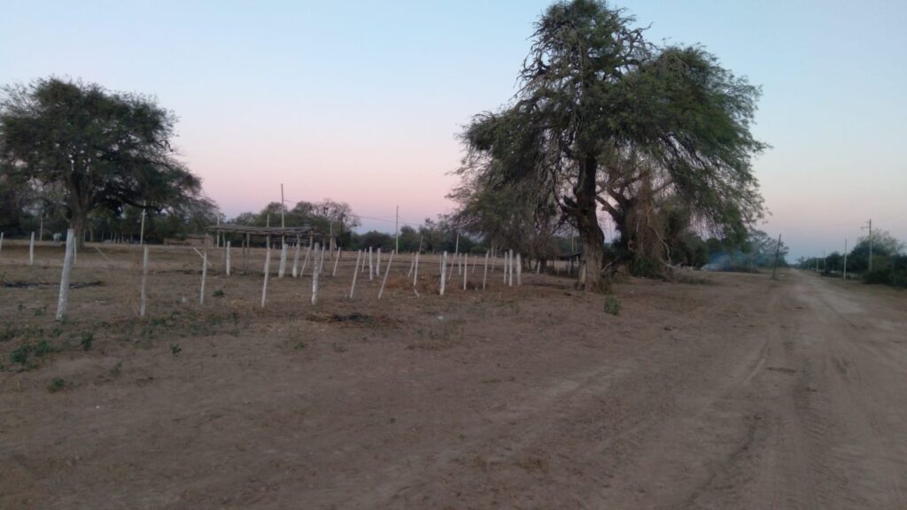 299486184_1745891825770440_2516689687444500217_n