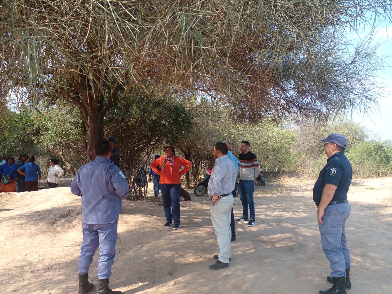 31ca6ca8-0c58-431b-a1d7-308da0b4d66c