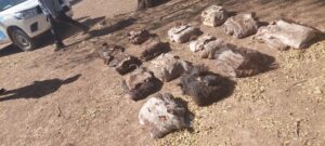 730943bf-f3a9-493a-a985-1a067071a4c0