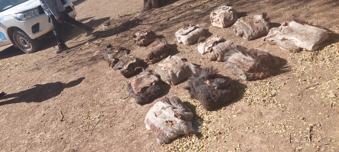 730943bf-f3a9-493a-a985-1a067071a4c0