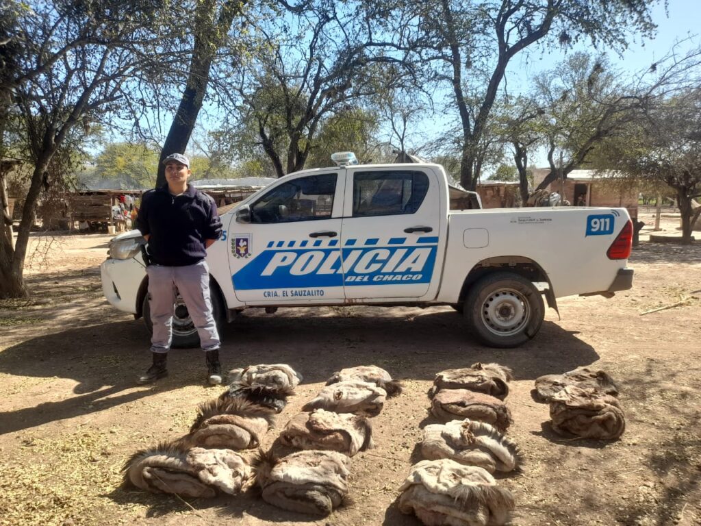 d72f7638-fecc-415d-82ef-4671e0af616f