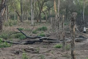 3c8b4734-9152-47ee-9a1a-fa6260ea139a