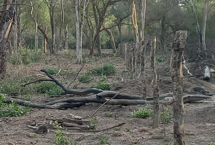 3c8b4734-9152-47ee-9a1a-fa6260ea139a