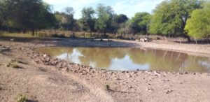 7ea2f1e0-cf36-418f-94bb-7862c4697cb3