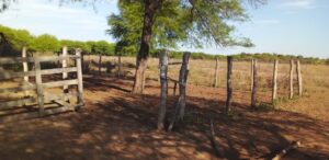 e71f2da9-c318-4960-a75c-7d5ebd489527