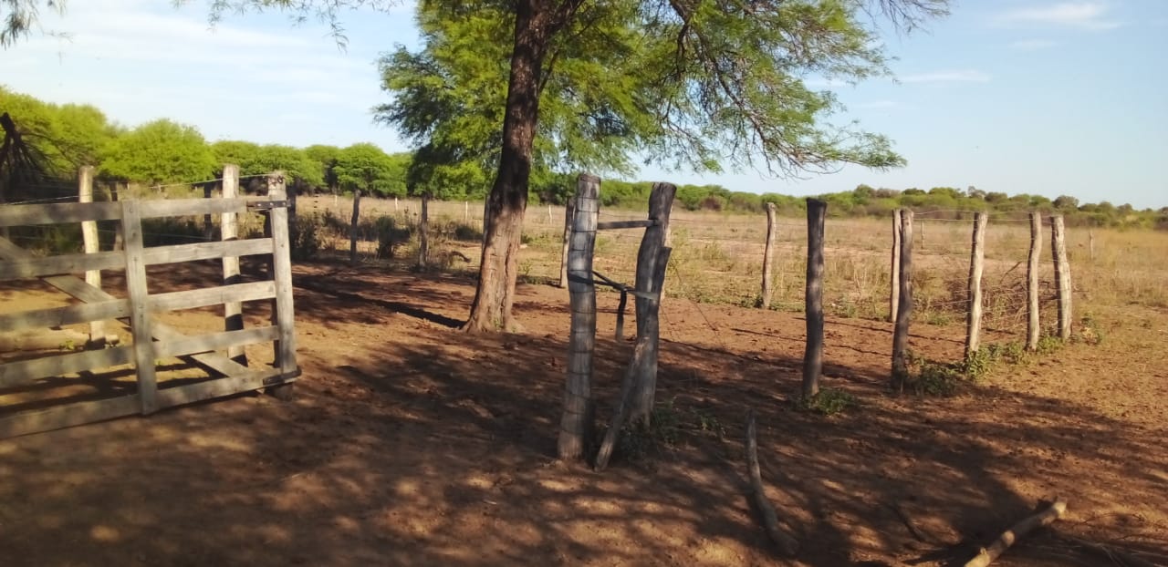 e71f2da9-c318-4960-a75c-7d5ebd489527