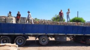 219d7e7e-19ff-4866-b68e-5b4afee05cac