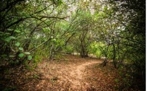 parque fuerte esperanza