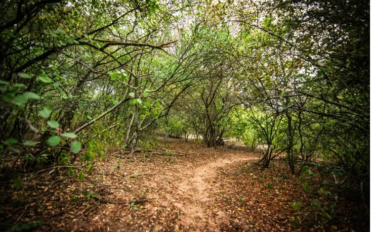 parque fuerte esperanza