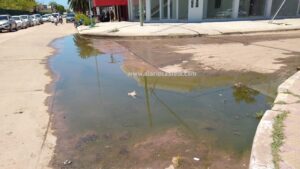 4b8ee226-d265-44c7-b203-5de876842f83