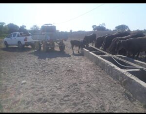 325638018_750243329631681_2912444605740088504_n