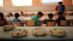 nutricion escolares