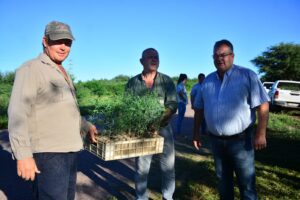 336988267_974163780415755_4684562810338607136_n