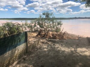 380b1483-0b74-4943-a807-34fb734af640