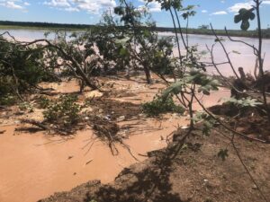 50365ca6-5ab7-47f0-868a-1810b8a306f4