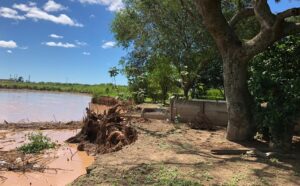 f8f662c9-fa74-4d5c-abfa-ad6934bfa725