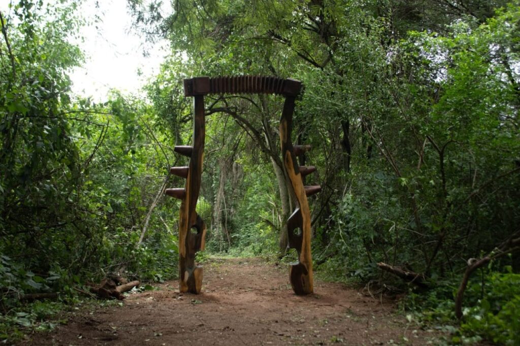 54b3bbb5-b848-43ce-a24b-640cdaf55945