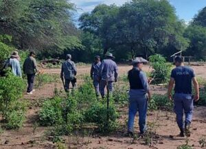 Policia-BusquedaSalustiano7-696x505