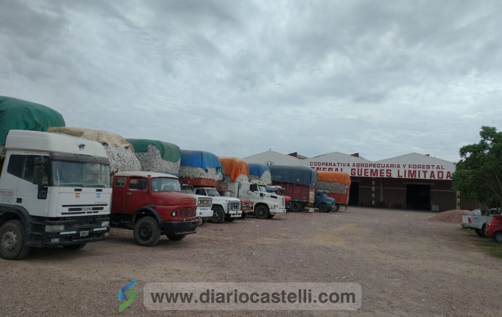 02768c62-20fd-4c55-ade8-e2b14e943051 (1)