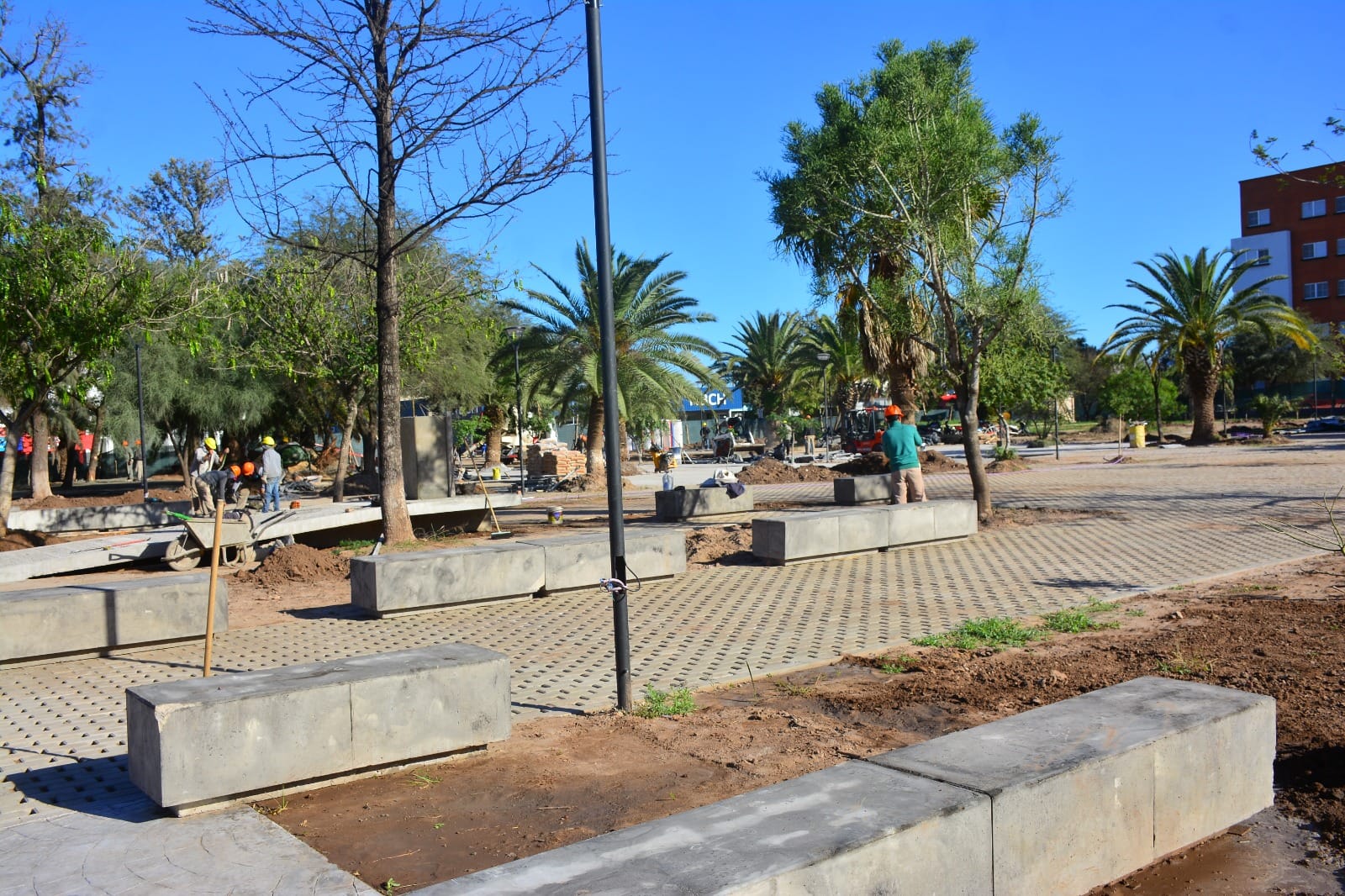 352055178_647928447374657_8197352647383558548_n