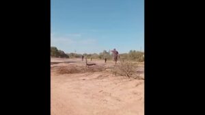 tension en miraflores