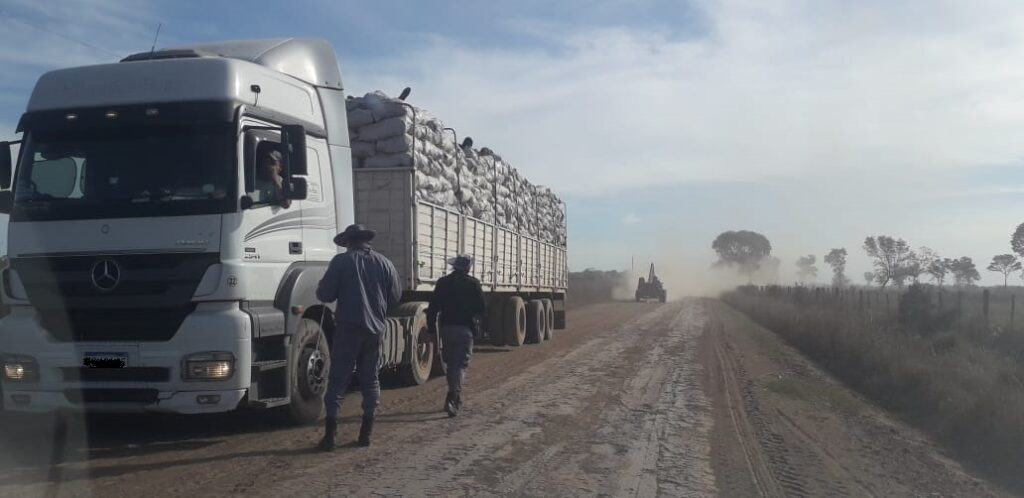 6f7b2bef-e3cd-4219-a252-85b8094e6e74