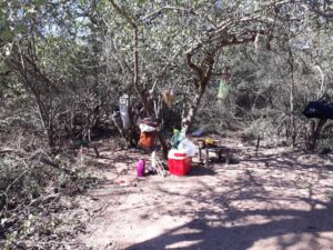 9d202a0f-9608-4934-9a61-458ecf88f09e