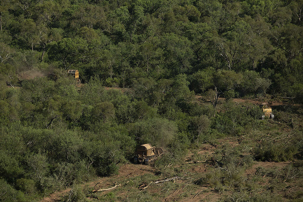 b1d03af3-gpa_5617-1024x683