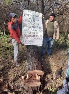 dc9cd4a4-e803-4591-baef-e001da13a720