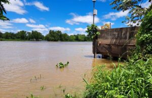 99a14c8674d2aebd569634113d127e45