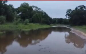 INUNDACION ISLA DEL CERRITO