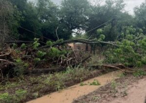 b091bbba-4526-4558-9838-5687909cb153