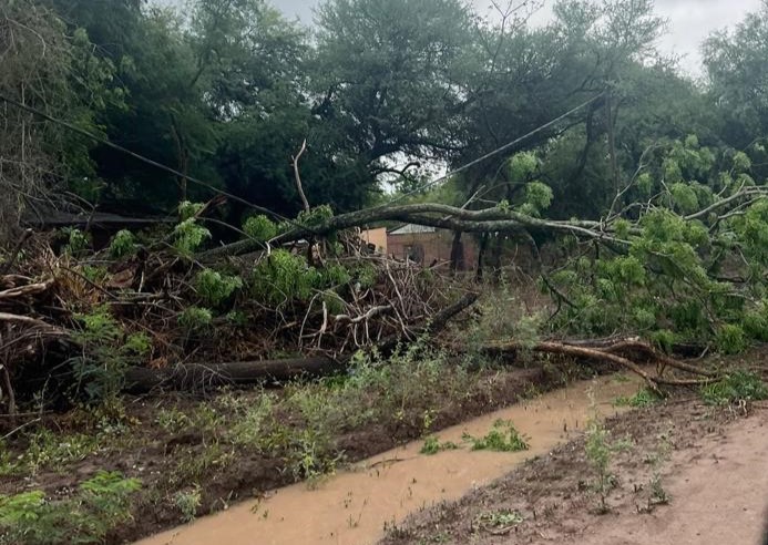 b091bbba-4526-4558-9838-5687909cb153