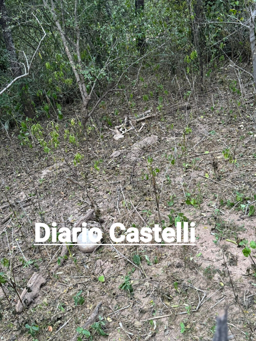 453222305_1023985696394607_793911834201575113_n