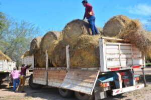 f148df64-e5a6-416d-ae46-ea8b51453457