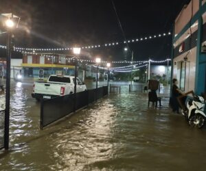 IMG_20241218_234844316_HDR