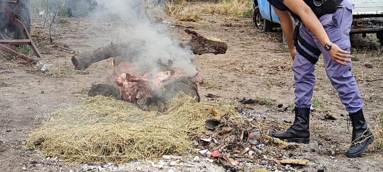 La Policía Rural de Castelli incautó 50 kilos de carne vacuna en un procedimiento en paraje Puerta Negra. 