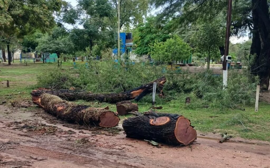 491460559_18346563964154371_4944615322377965357_n