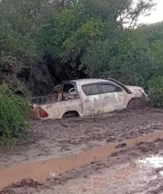 d25d3517-a9e4-4e5c-95d4-a3d64fd476e9