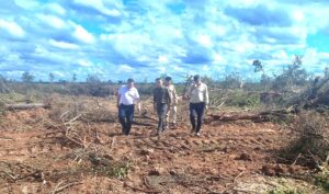 247469d2-4b02-4a3b-9a73-0588030badc4