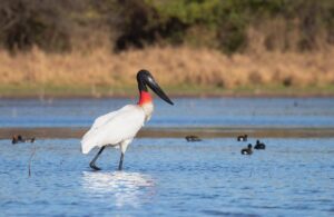 495921447_1255180246608483_1006045799092422172_n