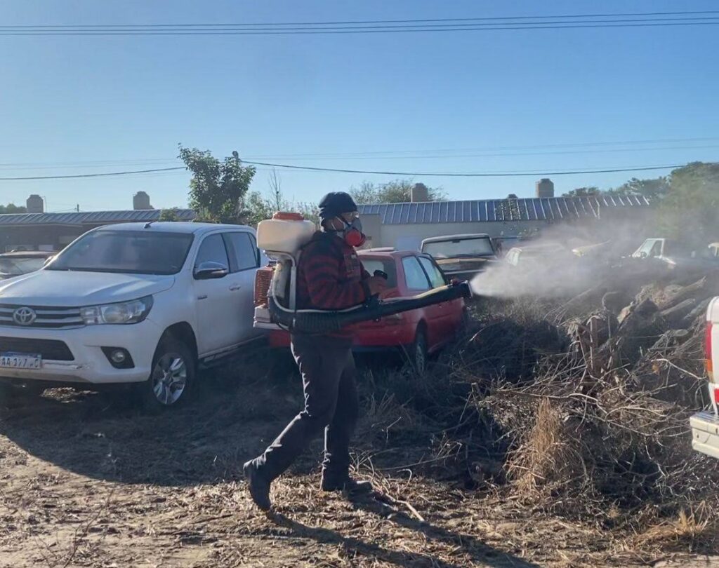 494469735_1131141405720023_9190406476919099872_n