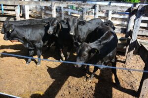 505328452_1133383092162521_5586781291994694331_n