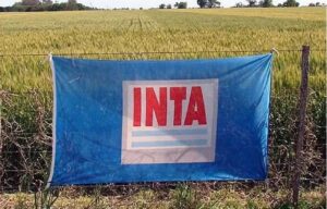 INTA