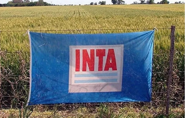 INTA