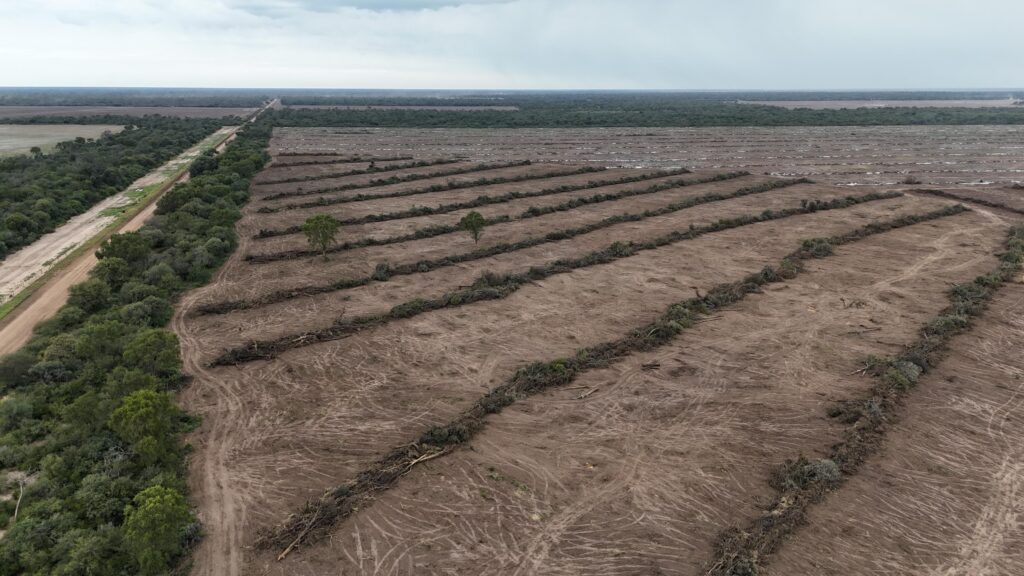 e59aba4d-5823-47b7-8ea3-f0508db55610