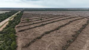 e59aba4d-5823-47b7-8ea3-f0508db55610