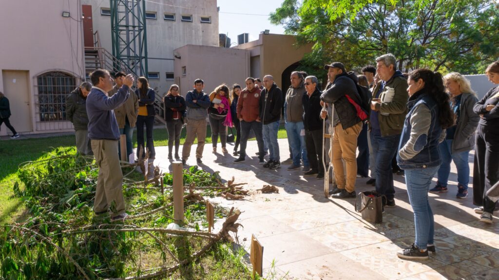 thumbnail_WhatsApp Image 2025-05-29 at 09.31.09